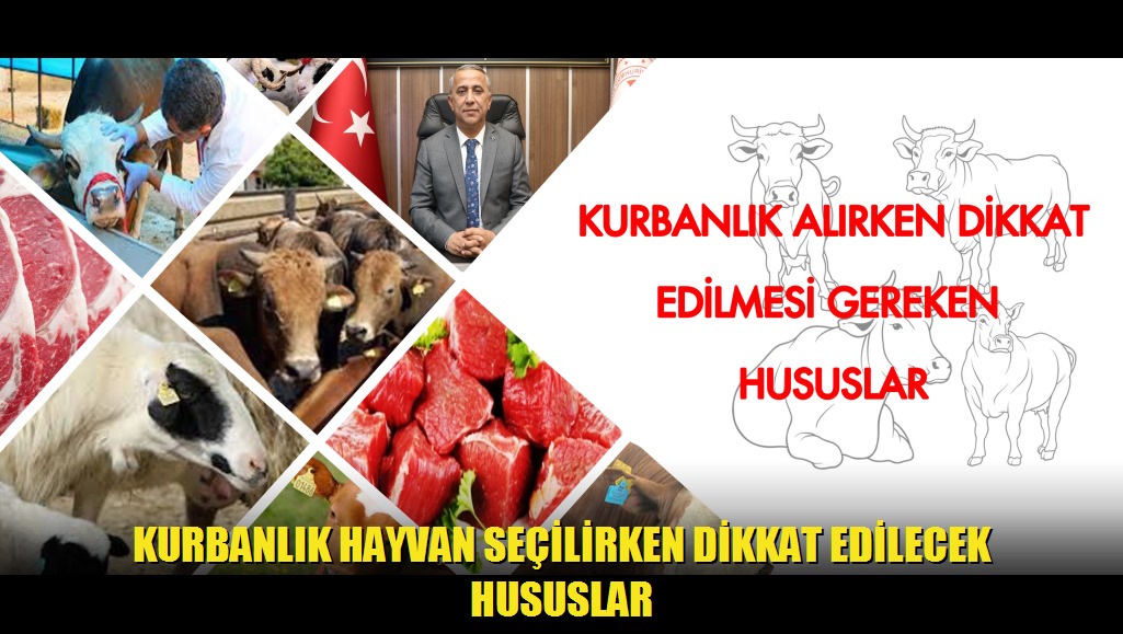 Kurbanlık Hayvan Seçilirken Dikkat Edilecek Hususlar