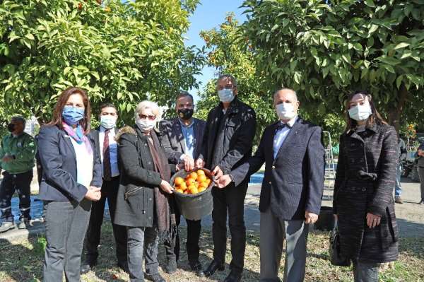 Mersin'de turunçlar salata sosu olarak ekonomiye kazandırılacak 