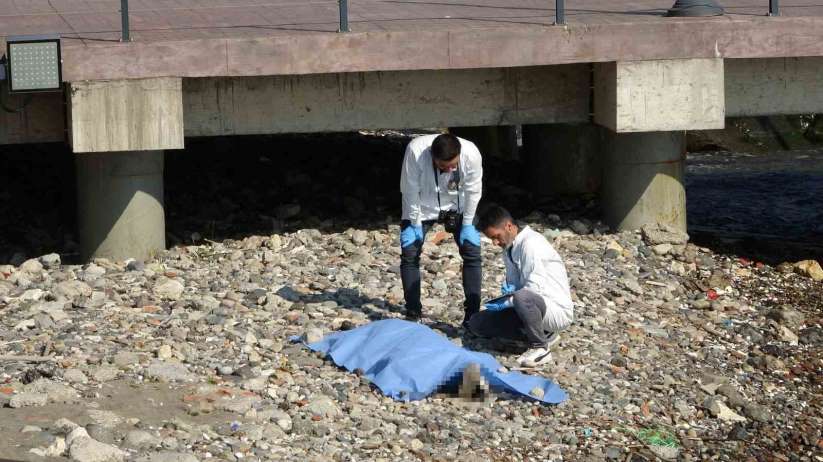 Ordu'da deniz kenarında erkek cesedi bulundu