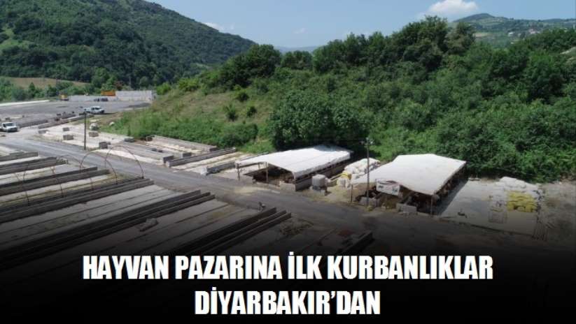 Hayvan pazarına ilk kurbanlıklar Diyarbakır'dan