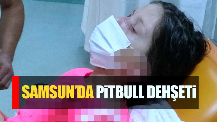 Samsun'da pitbull dehşeti! 11 yaşındaki kızı paramparça etti 